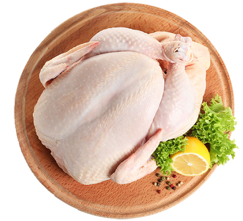 Holiday Turkey pre-order